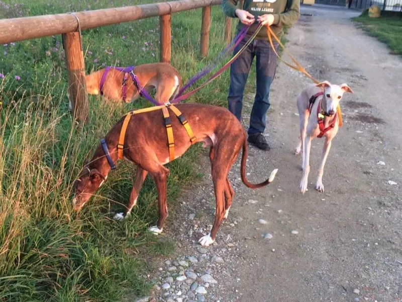 14591614 10208739613020367 8119952826102912778 n