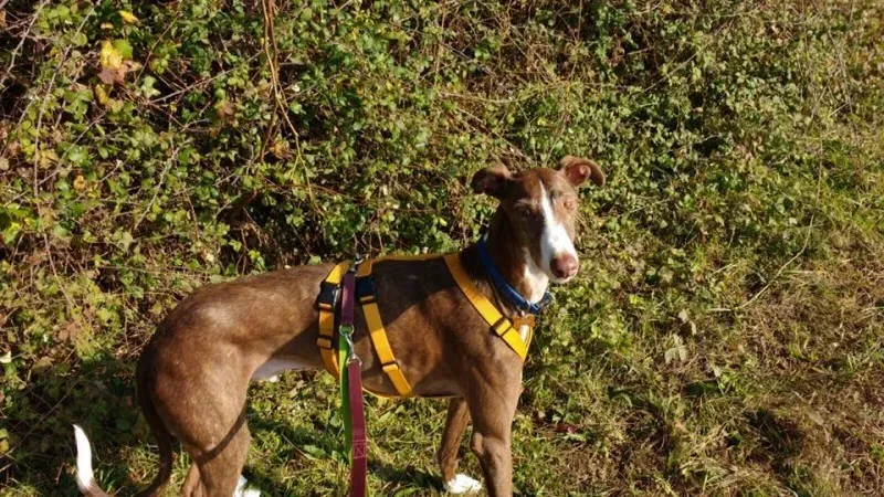 14595565 10208737724333151 5622975928536420987 n