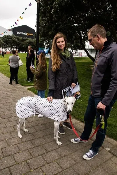 14595631 1841408096090582 1251442434852164673 n