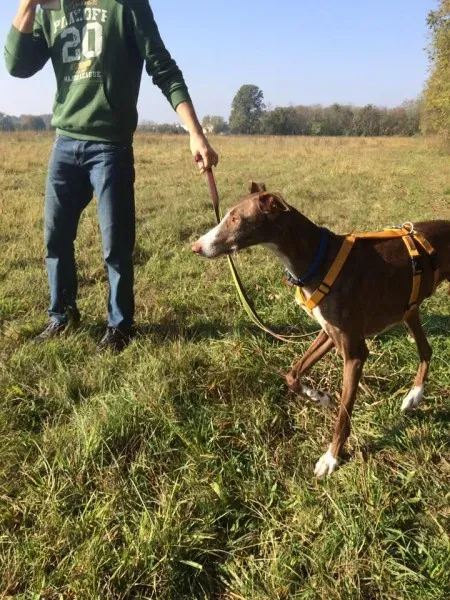 14595663 10208737666251699 2122854810626533609 n