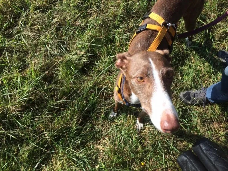 14595754 10208737665291675 8436885312370502746 n