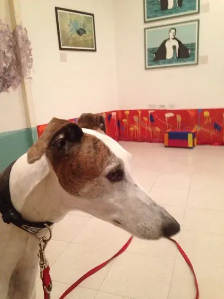 1459664 869525243168716 4431844029821655570 n