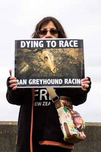 14600928 1841408532757205 4575814579569620793 n 1