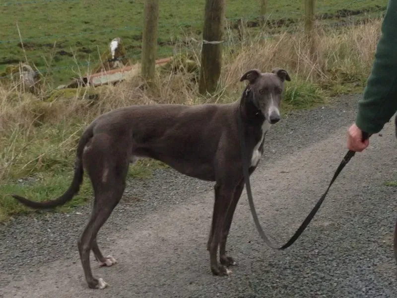 1460190 980401322043723 5539103349045196889 n