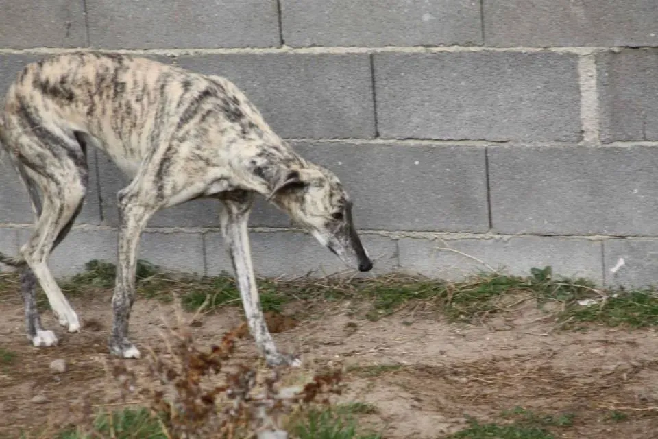 1460259 552120921538434 1019418465 n