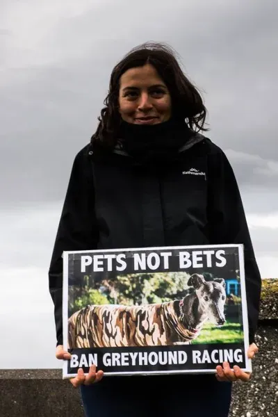 14604833 1841408546090537 3407481475066724643 n 1