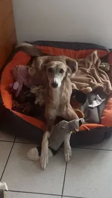 14611109 10210545130094827 5065825964585868970 n