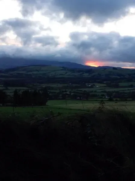 1461543 1602608273300487 5483245150185116080 n