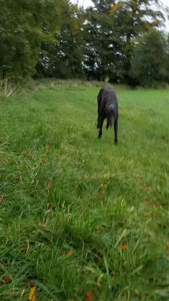 14618628 10209537294082784 1211966716 o