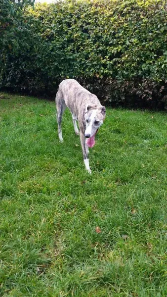 14625587 10210976186470285 159103067 o