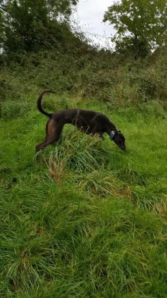 14625819 10209537289922680 30321270 o