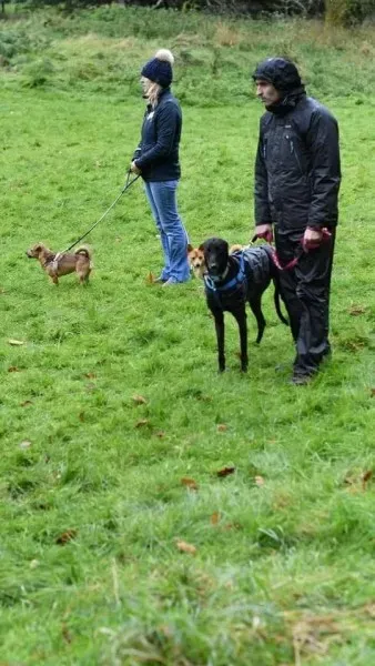 14628005 10209559118788388 1682822850 n