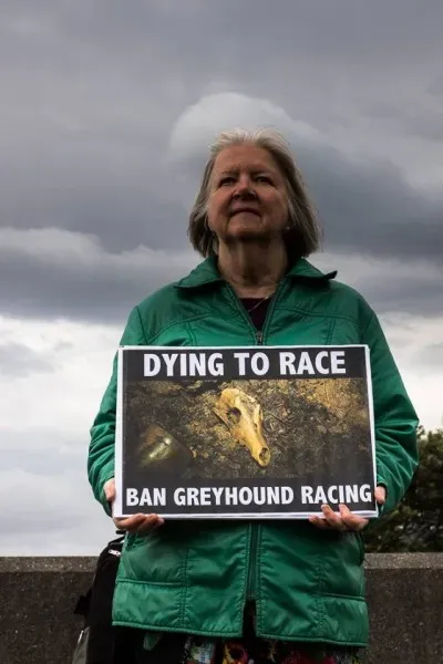 14632803 1841408606090531 6956694125496778424 n 1