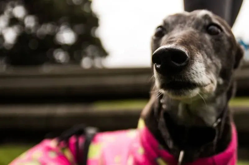 14633026 1841407692757289 8425443197503391888 n 1