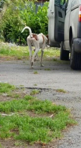 14633058 10154681003581255 6148309827139948892 n