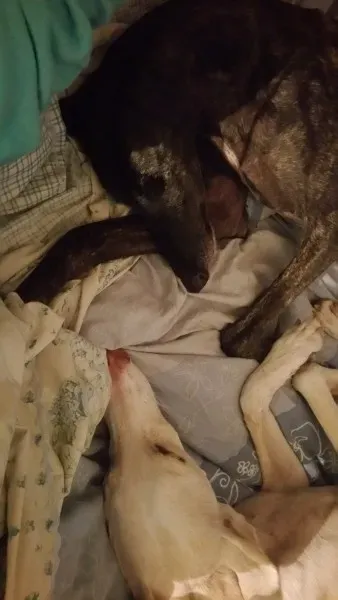 14633220 10210484229971774 8944404402845528699 o