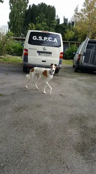 14639721 10154681004921255 8346529641971821552 n