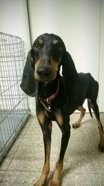 1464111 10202450074075593 1874703796 n