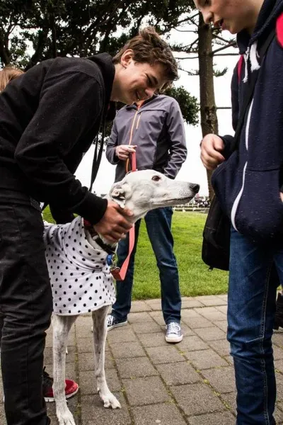 14641934 1841408112757247 922762428693524944 n