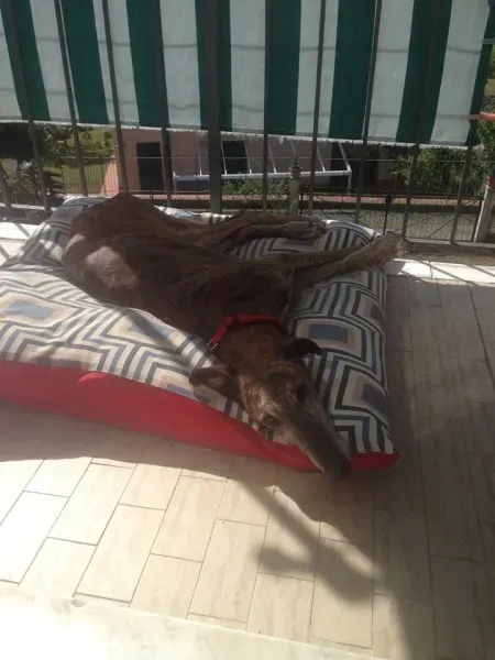 14642020 1144867115597142 8410754814320857290 n