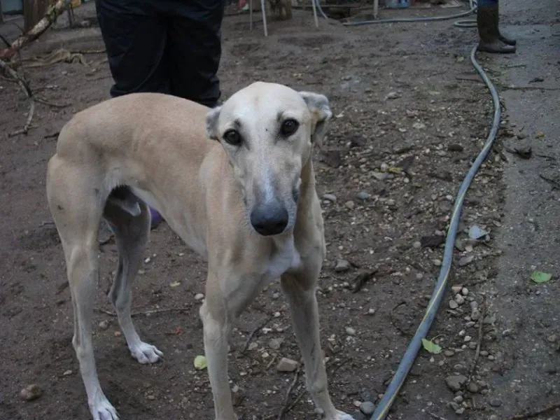 14642292 1154102661340254 3938811821973626914 n