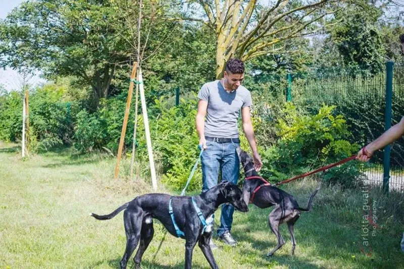 14642401 1437995172881489 7469748105028122657 n