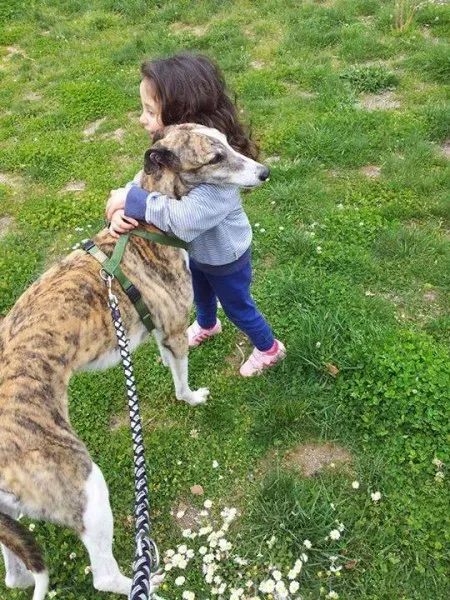 1464823 10201887540262586 1779207235 n