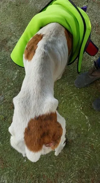 14650156 10154667122536255 2332646445168172925 n 1