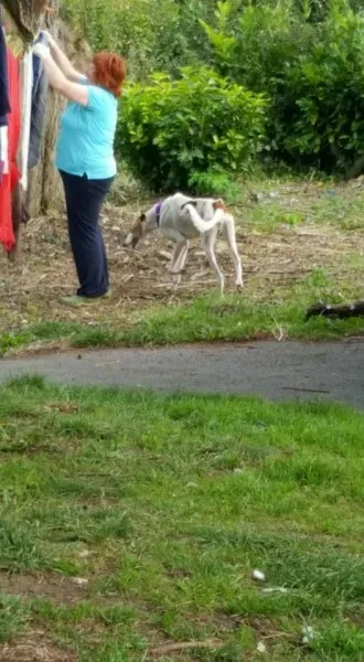 14650288 10154681002631255 1041657957010934390 n