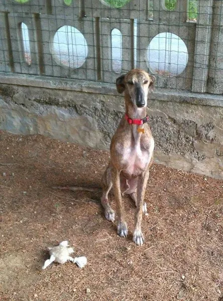 14650471 1144866745597179 3424644272960124052 n