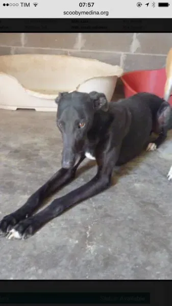 14650616 10211119335410372 747424012454473912 n