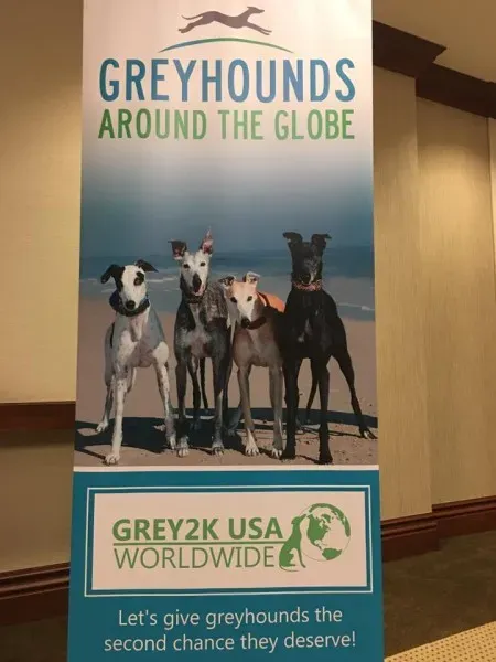 14650715 10207769251494798 3168459319857642244 n