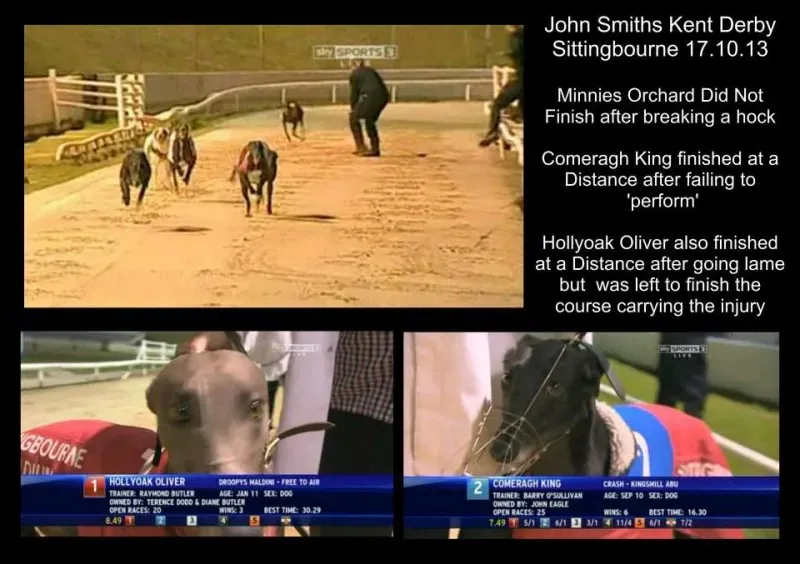 1465380 590724657647370 512493978 n