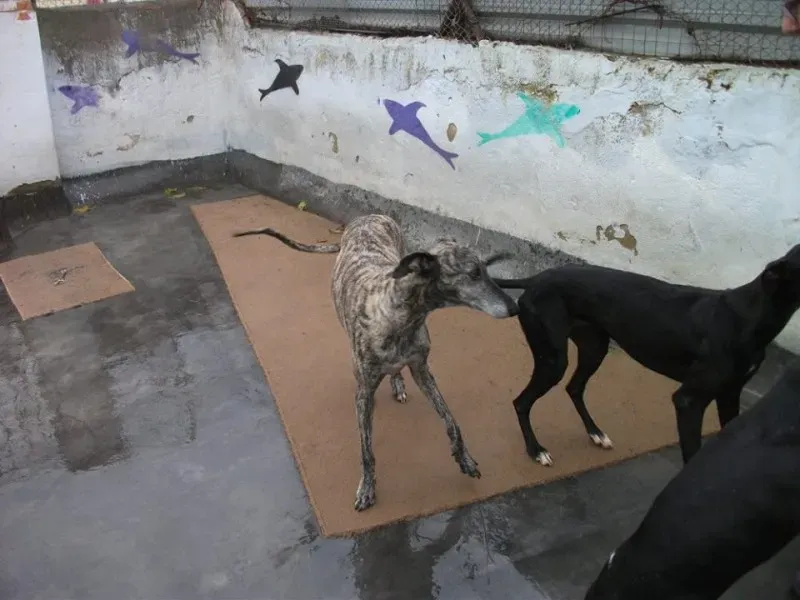 14656342 1154101301340390 5099019985923046917 n