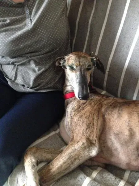 14656395 1155980647819122 2734849125223875551 n