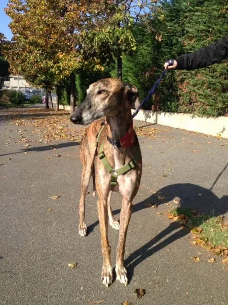 14657411 1155980621152458 2244097409370001458 n