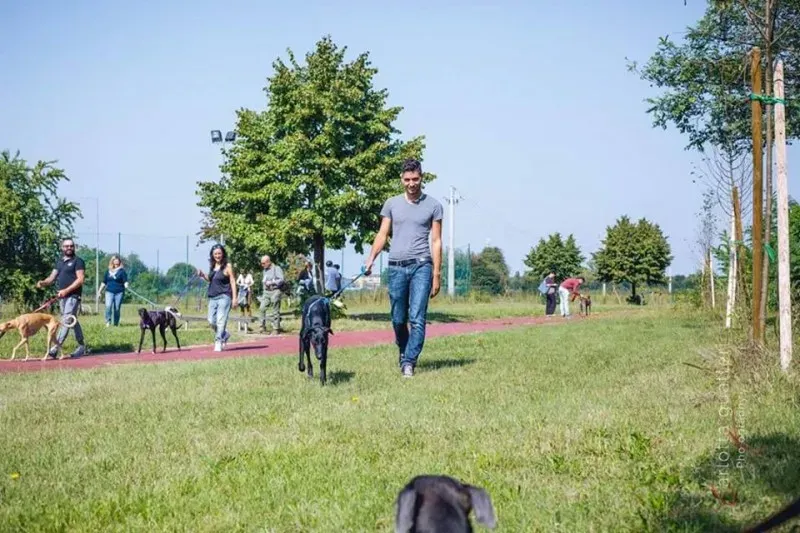 14666174 1437996339548039 5386001158421840528 n