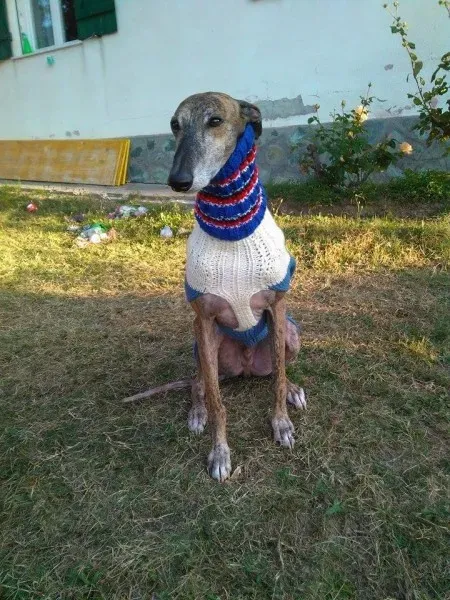 14666300 1144866752263845 8961477223066172398 n