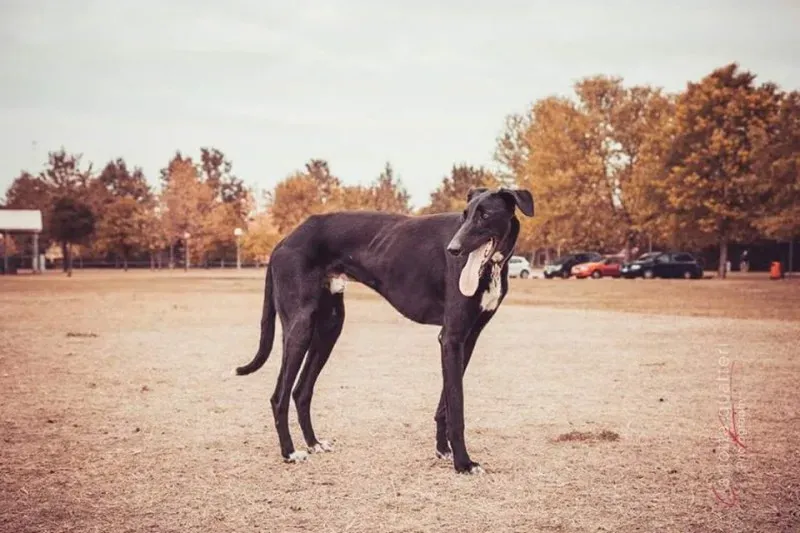 14670685 1437995766214763 5469048613675068105 n 1