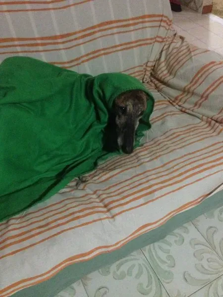 14671103 1144867368930450 4667480592392378970 n