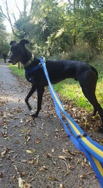 14671291 10154657182511255 5317335364391166064 n