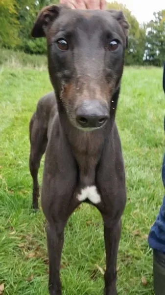 14672635 10209537284922555 815371005 o