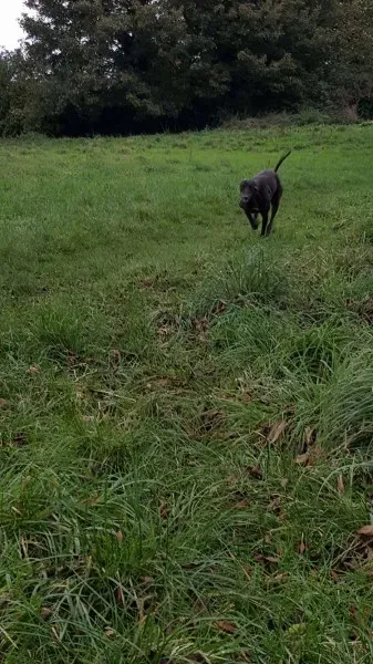 14672797 10209537301642973 753468112 o