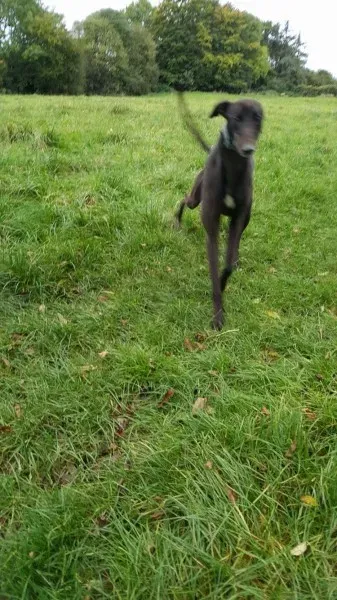 14678023 10209537289202662 1700341391 o