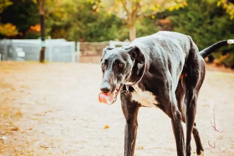 14680511 1437996396214700 4194079238764872356 n