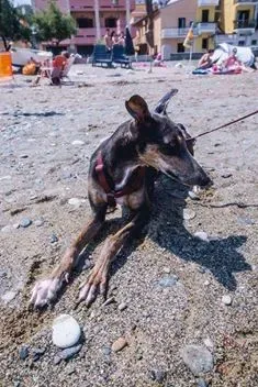 14681602 1437994546214885 2402747556877003678 n