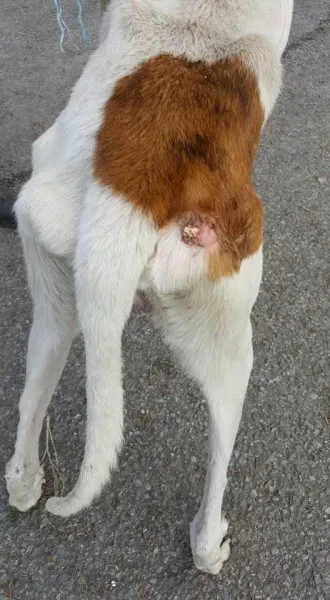 14681739 10154667122016255 2727834540902316902 n 1