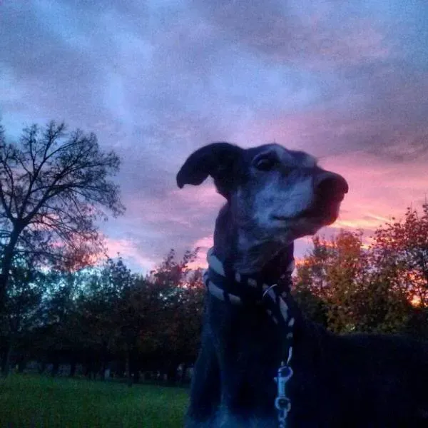 1468500 10202022192269000 319191537 n