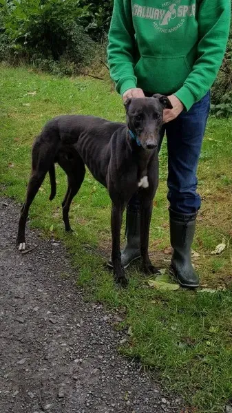 14689094 10209537293122760 813910283 o