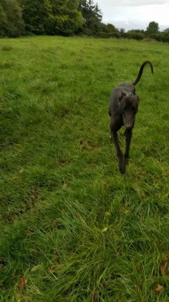 14689994 10209537290282689 586180085 o